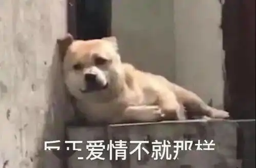 难道这就是我单身的原因吗

