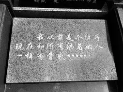 弟弟为肥胖哥哥选幽默铭文称如今很骨感图

