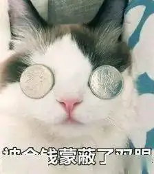 快保存最适合过年搞钱的99个猫表情包
