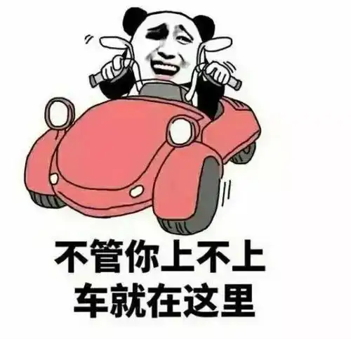 不要看延禧攻略了快来看开学攻略吧
