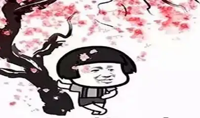 幽默笑话这大热天的,你穿个金丝绒厚旗袍是不是有点过分啊
