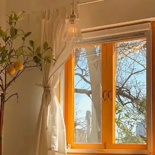 背景图
