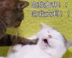 暴力炒菜哥突然走红,美食界的泥石流,他的菜可能是被吓熟的
