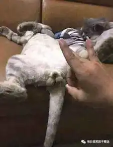 搞笑段子来了丑的人就别轻易跟人家女生表露好感了
