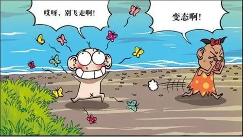 揭秘魔术箱中居然暗含玄机,蝴蝶啊,求你们别飞走呀
