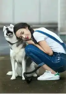 世界和平,没有对比
