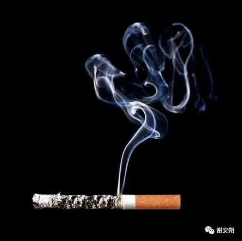 人生是否如同一盒香烟,一缕青烟后化作尘土
