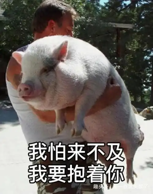 开心一刻放学回家,一对双胞胎兄弟兴奋地告诉母亲
