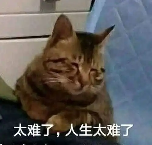 毛茸茸可爱的小动物表情包推荐

