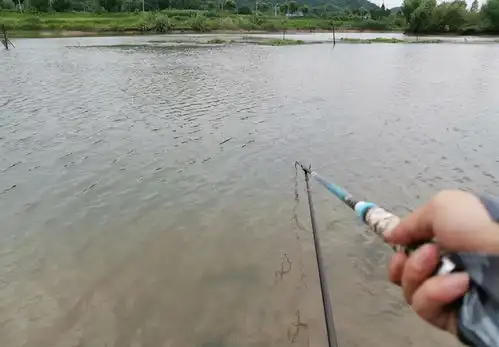 长竿好还是短竿好野钓和黑坑不一样,可别选错了
