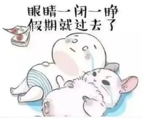 寒假接近尾声,此刻你的想法是
