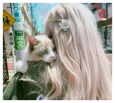 爆笑段子别说了我懂来,吃菜老婆
