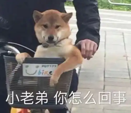 搞笑表情包图片聊天怼人,男女聊骚,你这样对得起你的良心吗
