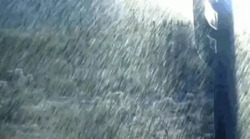 今晚,暴雨雷暴大风湖北多地发布预警
