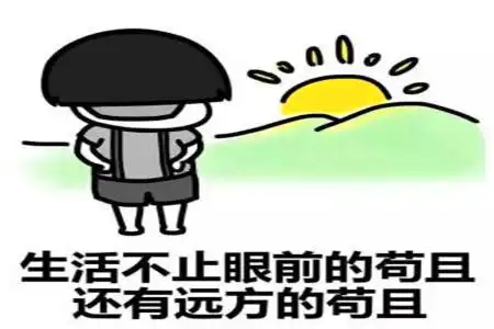 幽默搞笑段子怎么会是同类蚊子是吸血的,苍蝇是吃屎的
