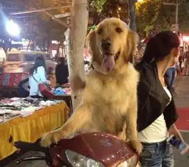 搞笑段子我点菜时,你能不能不玩手机
