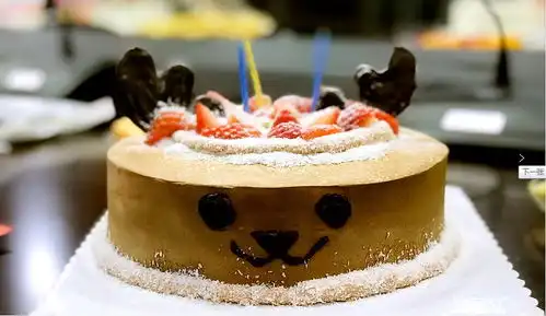 生日会浓情深园,诞愿有你深圳园林12月狂欢生日趴
