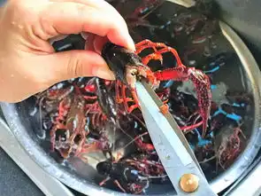 小龙虾到底有多脏为什么大家都不吃重金属多到你绝望
