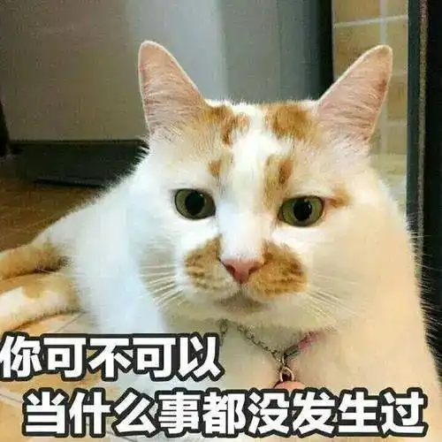 就是现在福州能看到吗
