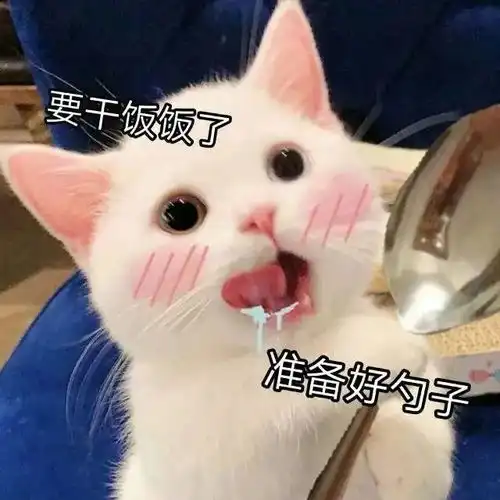 鸽鸽鸽这次碰到真鸽子
