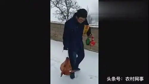 搞笑视频农村小哥冒大雪给群主提猪头送焖倒驴,把群主乐坏了
