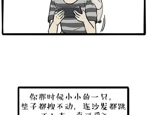 搞笑漫画狗狗减肥记

