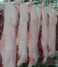 猪屠宰设备图片特恩特青岛猪屠宰设备
