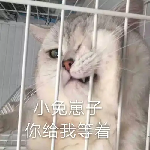 张庭做微商纳税21亿,她做微商带全家绝食喝油,这些女星是蠢是坏
