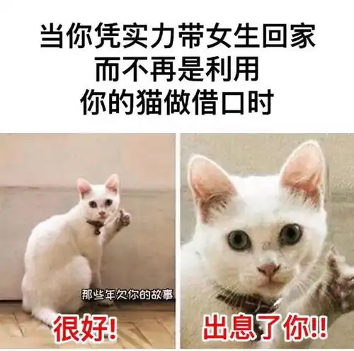 你有哪些让人笑到肚子疼的搞笑图片
