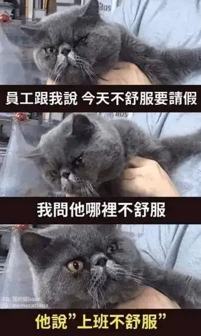 这么说的话还是鸡蛋比较幸福反正都要死起码知道死在谁手里
