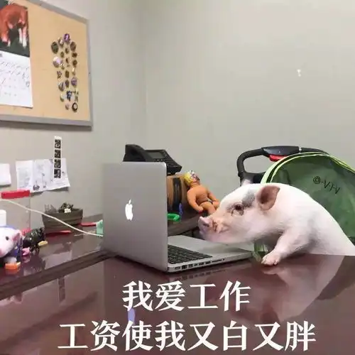 这一年里,你一共骂了公司365天好友
