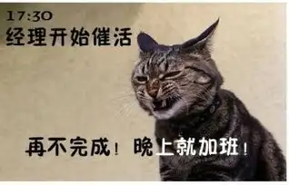 大话职场猫咪搞笑表情演绎上班族的一天
