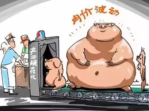 八年猪价创新低,百万养猪人何去从

