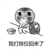 我打排位回来了表情包

