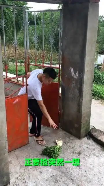 搞笑视频一根芹菜让小伙崩溃了
