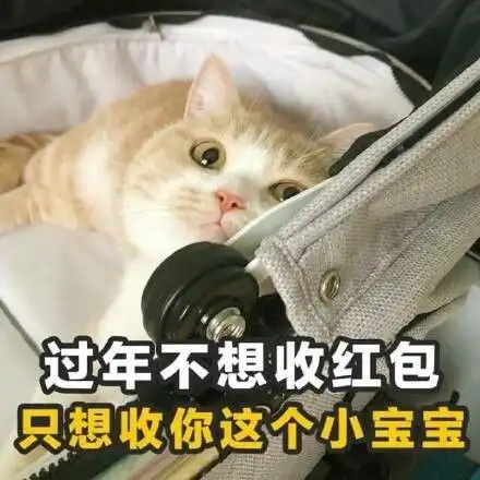 萌萌哒的喵星人微信带字表情包妹子专用喵星人表情包
