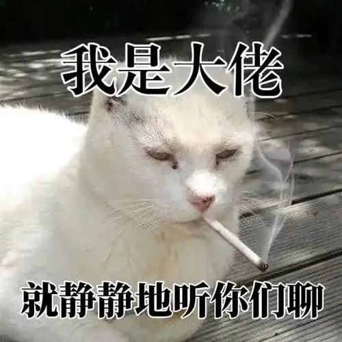 钱不是大风刮来的,是大风刮走的第245期喵表情
