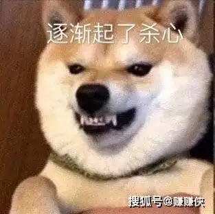 搞笑表情包图片猫狗老鼠和人
