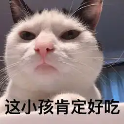 猫咪超级萌超级搞笑带字头像2018最新版徒有一腔孤勇无处安放
