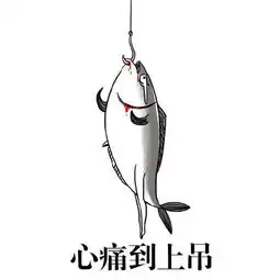 咸鱼的2016
