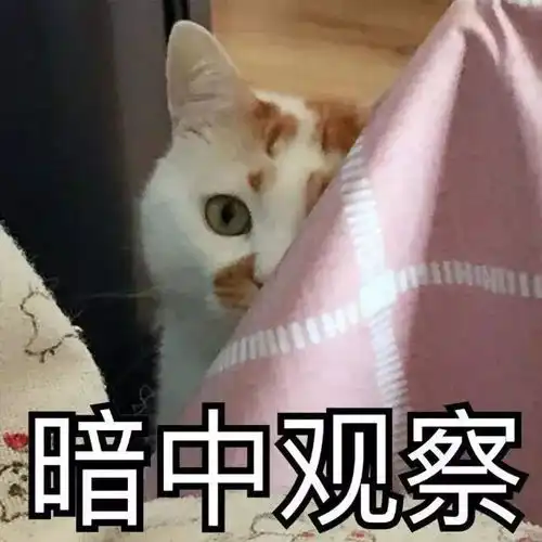 我被食物搞大了肚子
