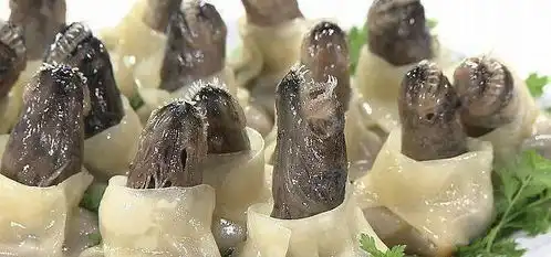 十六张搞笑趣图分享
