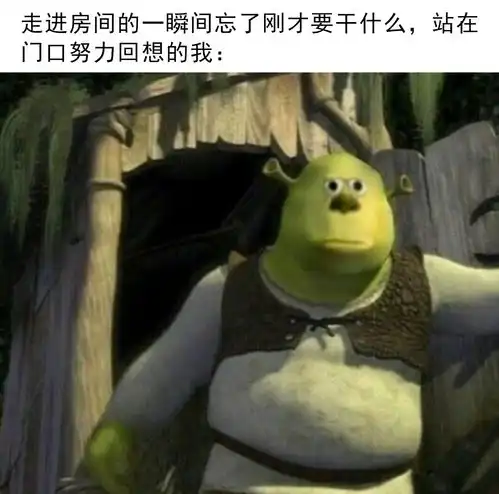 哔哩哔哩专栏

