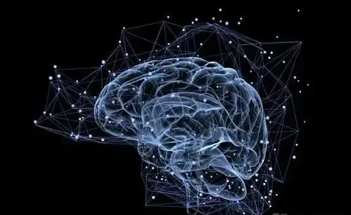 人类大脑的14个有趣事实,让你更好发挥大脑潜能
