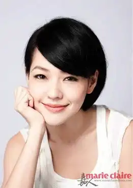范冰冰小s巴掌脸走红细数加工版尖v脸女星

