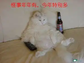 其它事务区搞笑小猫如图
