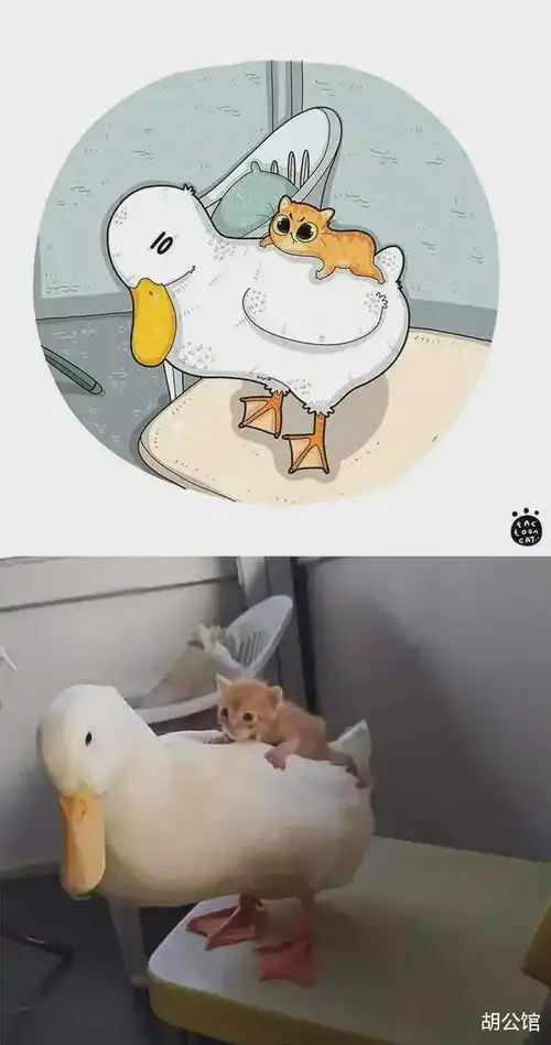 插画师笔下的猫咪有趣瞬间,有你熟悉的那一刻吗
