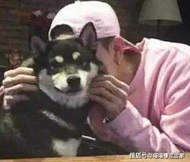 表面长得很高级,实际上内心是小可爱的星座男

