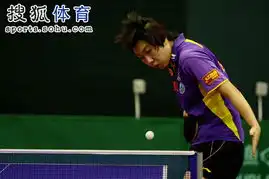 直通横滨第五日图集李晓霞发球
