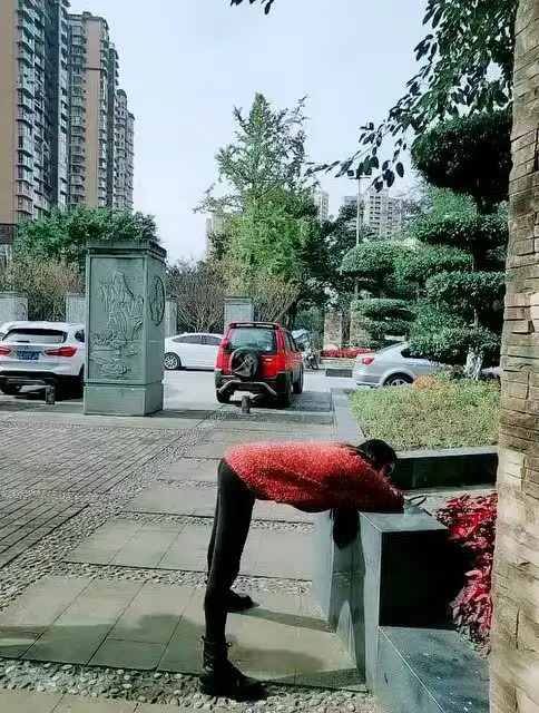 最后那个你是来搞笑的吗,老腰都要给我压断了
